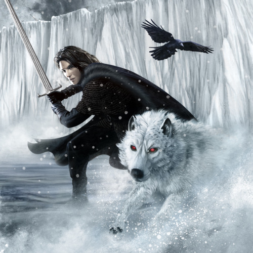 http://orig12.deviantart.net/07f7/f/2015/147/7/2/jon_jon_snow_23879165_500_500_by_the_deadliest_doge-d8v0pbx.jpg